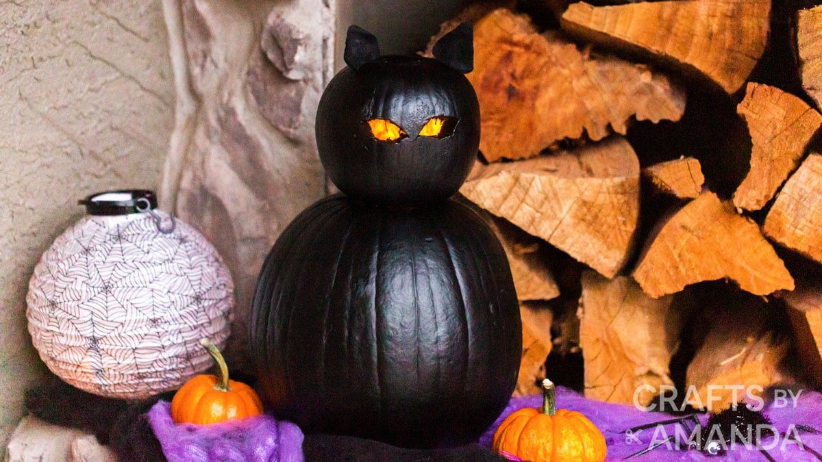 Black Cat Pumpkins