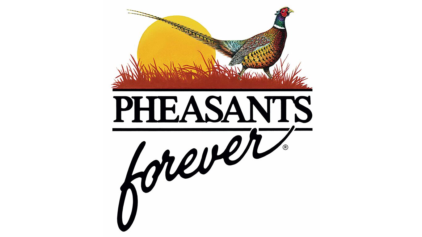 Good News For Pheasant Population