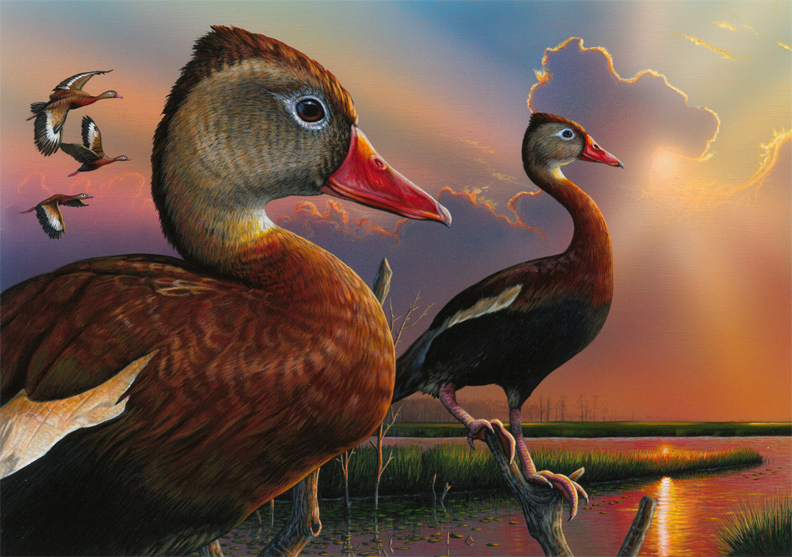 Federal Duck Stamp Competition Continues To Produce Amazing Works Of Art