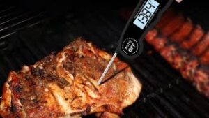 Meat Thermometer