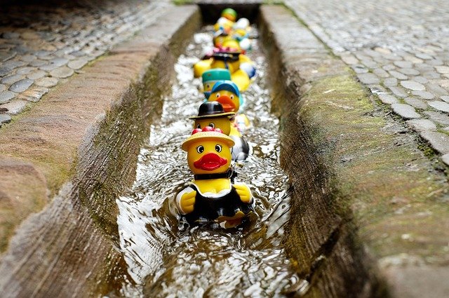 All “My” Ducks in a Row