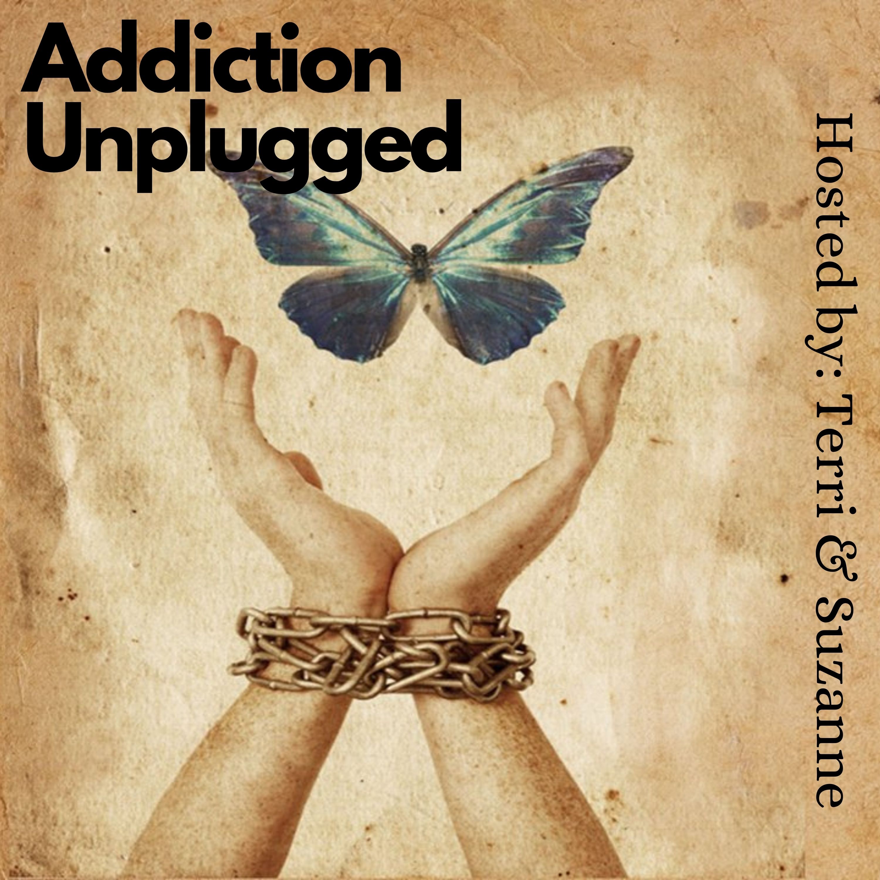 Addiction Unplugged with Terri & Suzanne