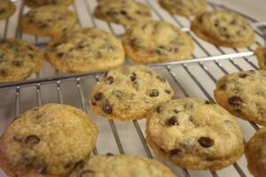 Tollhouse_Style_Vegan_Chocolate_Chip_Cookies