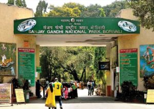 sanjay-gandhi-national-park